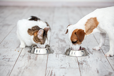 Diervriendelijk getest - TS Animal Health